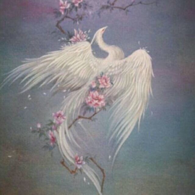 129476 戒╃悲伤