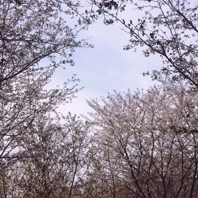 1294932 破 晓