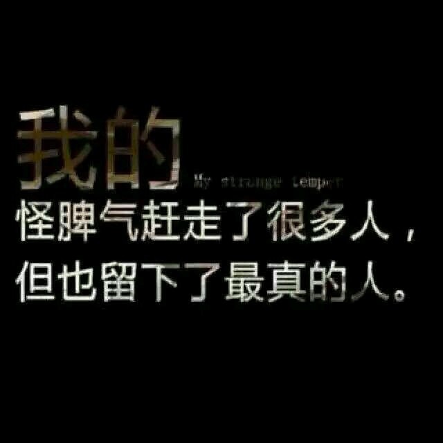 129520  ~