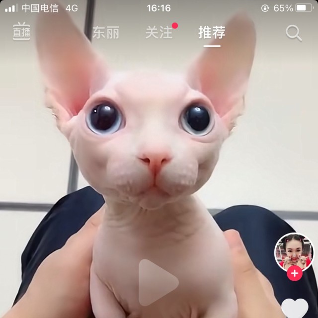129529 天津户口专业指导