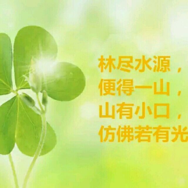 1295459 小哈