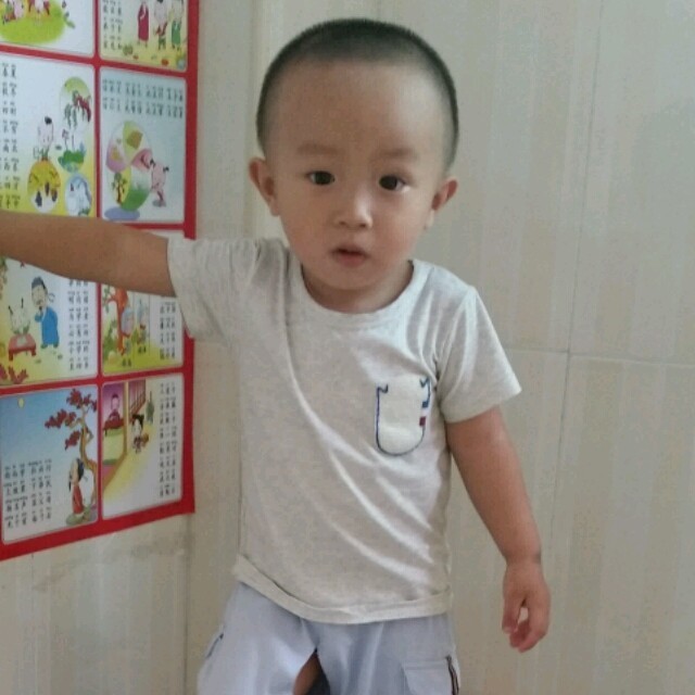 1295502  叶