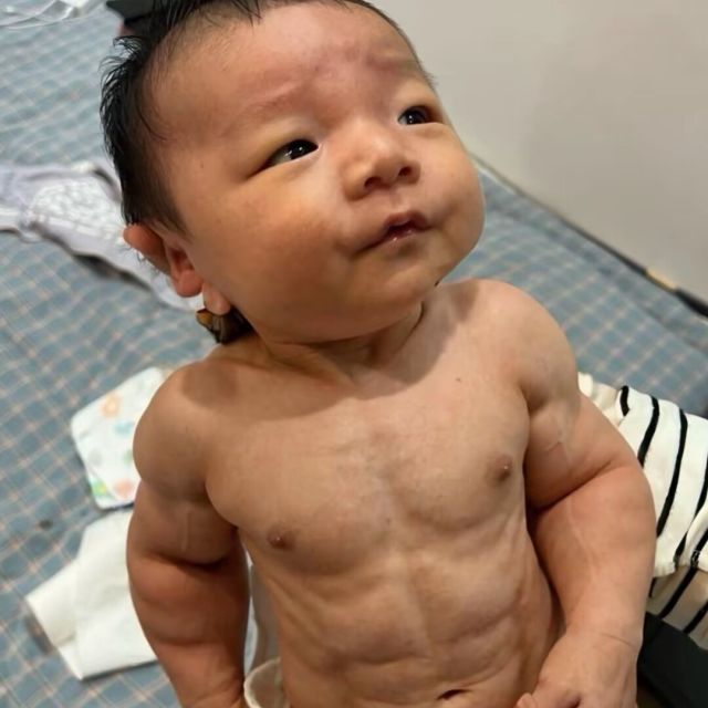 1295554 叶子