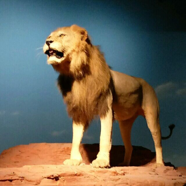 1295688 ＣōＬǎ゛