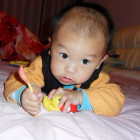 1296011 阿尔泰