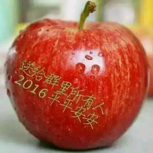 1296029 雨中漫步