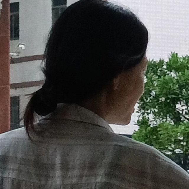 1296458 春飞
