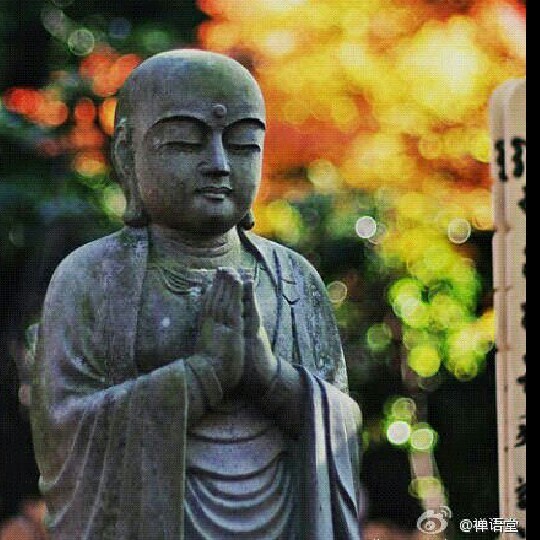 1296924 斯基利茨