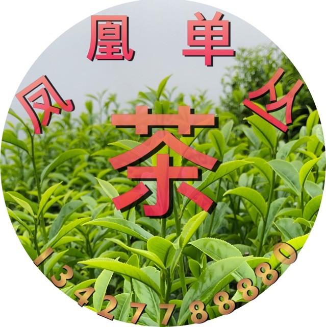 1296968 陈健楷