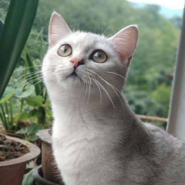 1297639 航哥滴麻麻