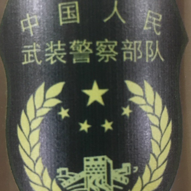 1297695 陈鑫