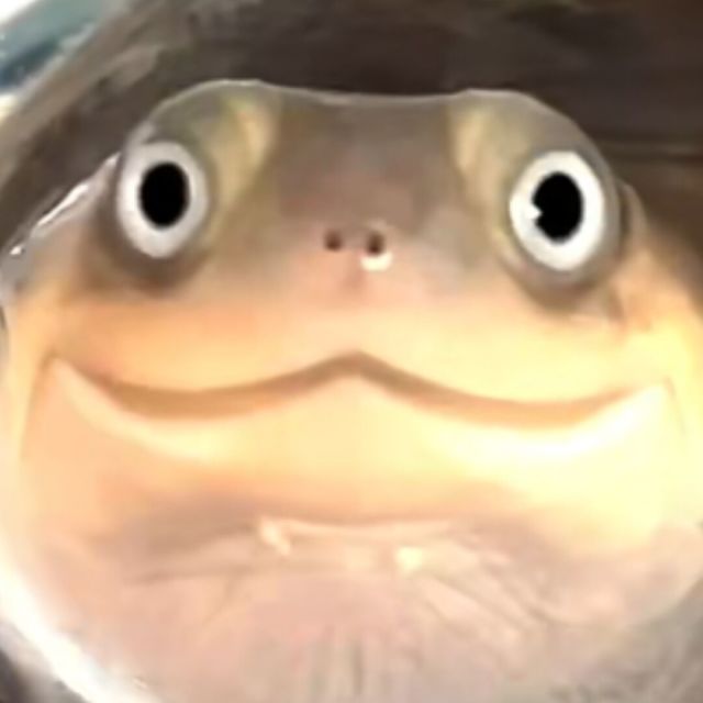 1297957 侠女