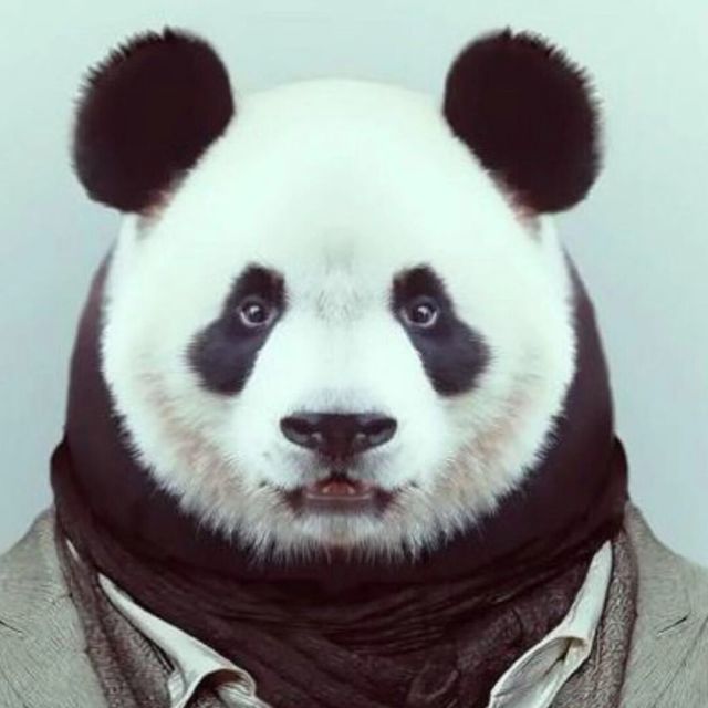 1297997 子不曰