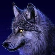 129842 82fox