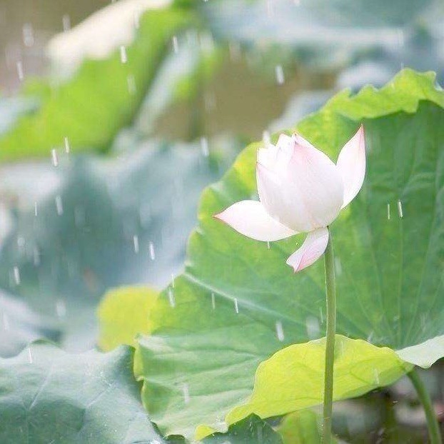 1299417 琉璃