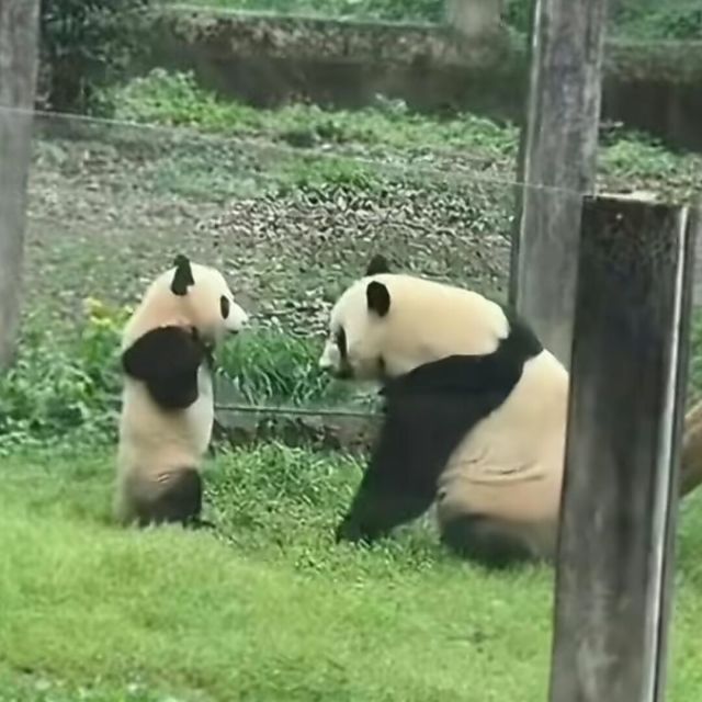 1299895 故事系