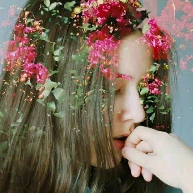 1299984 Daisy