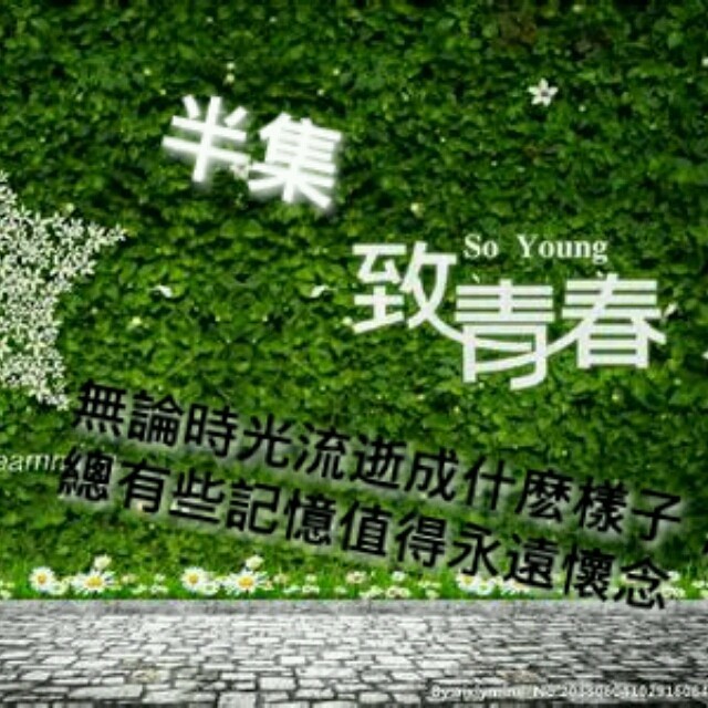 1299991 半集致青春