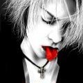 1300041 Blade