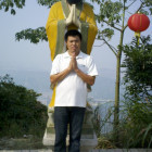 1300387 白桦林