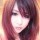 1300723 筱巷の蕗簰╄