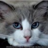 1300839 Liz