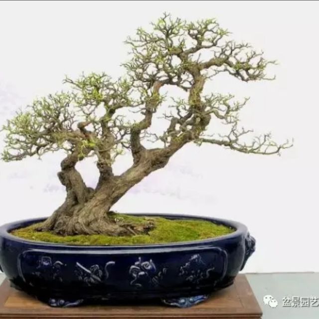 1301208 听雨