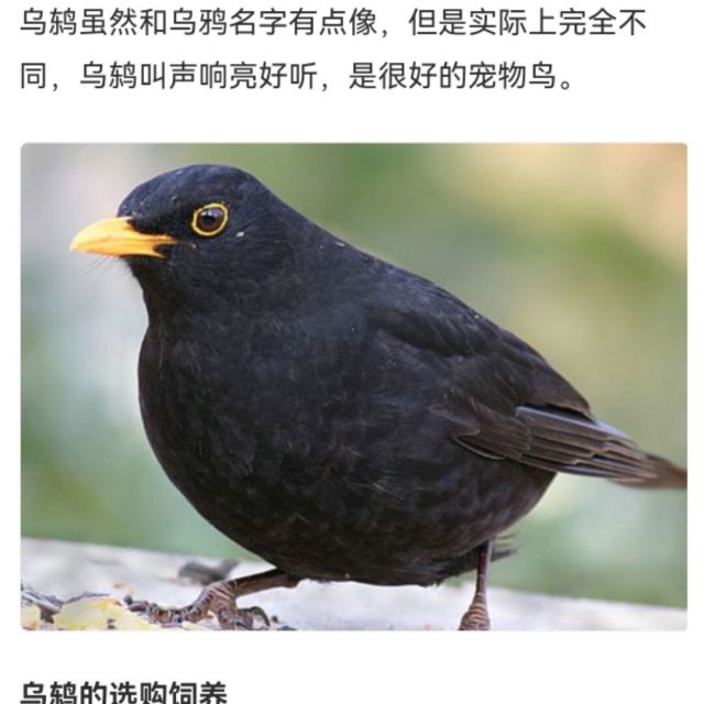 130147 豹哥来了