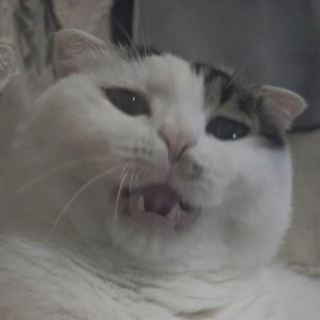 130161 ゛τ云上衣