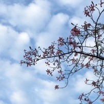1302101 南海十三少