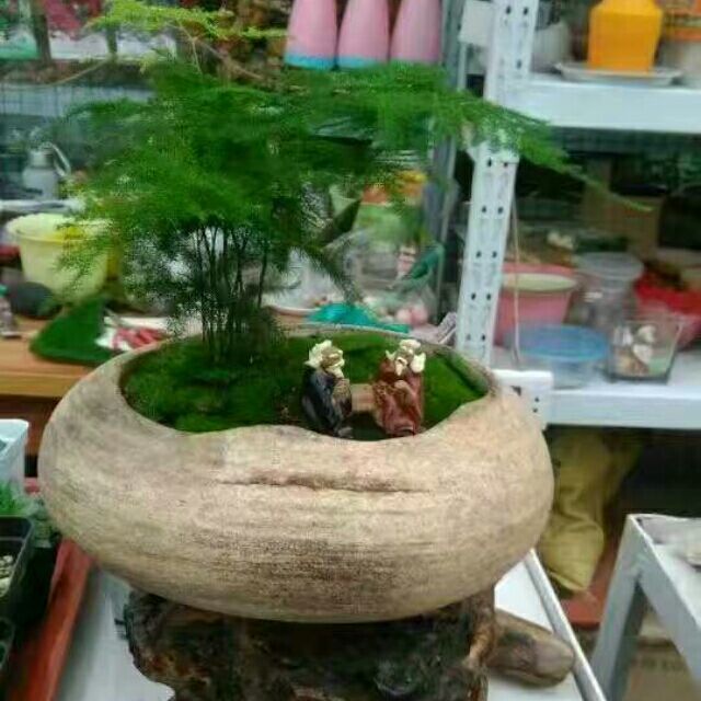 1302531 好景常在