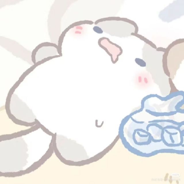 1303341 可爱多