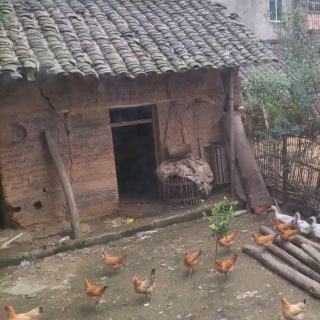 1303763 hi