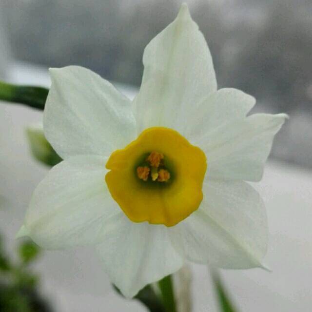 1303857 大雪