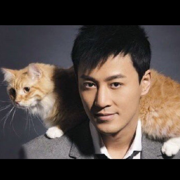 1303951 无悔