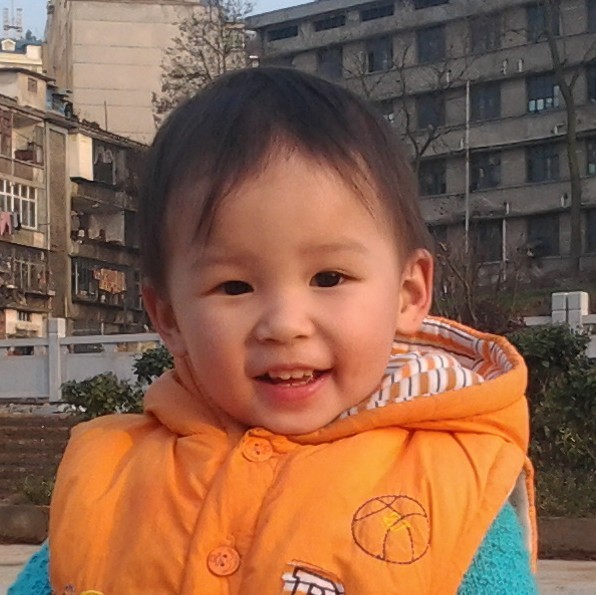 1304002 小蜜蜂