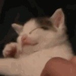 1304047 蒙古人