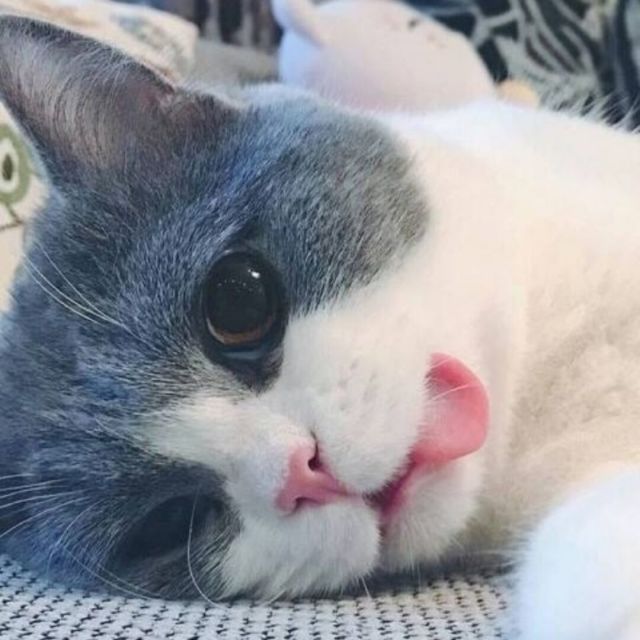 1304100 醉丶