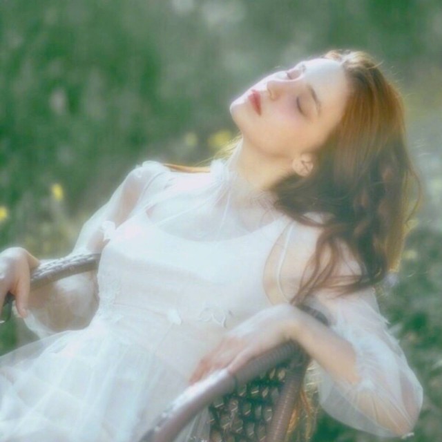 1304114  Domi_