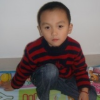 1304290 ╃向日葵╃