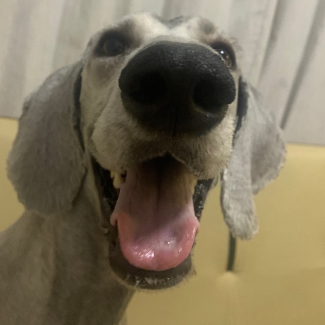 1304420 江南画室