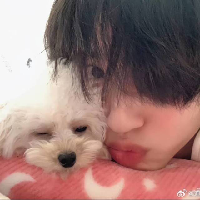 1304801 ヤ小龟漫步↙