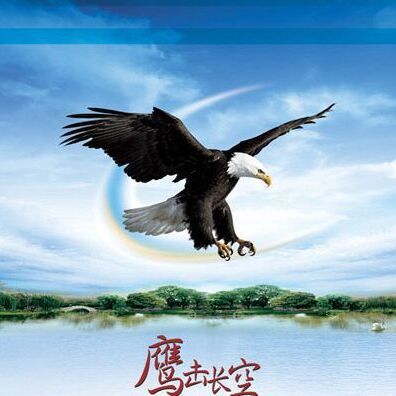 1305901 飞鹰
