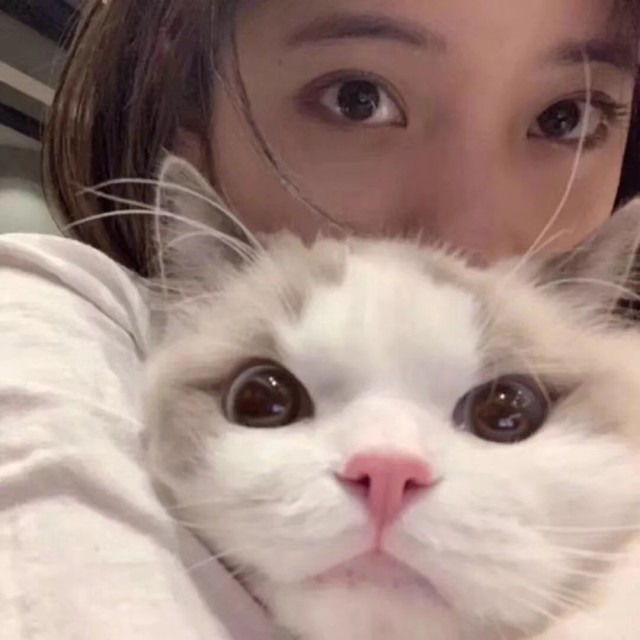 1307612 疯子。