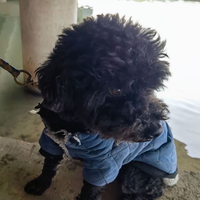1309644 血龙神