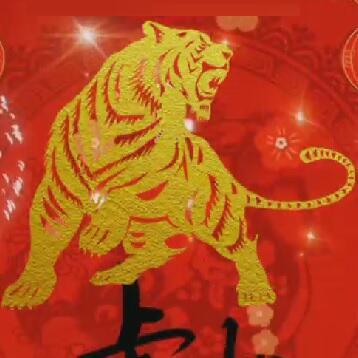 131159 麦哲伦