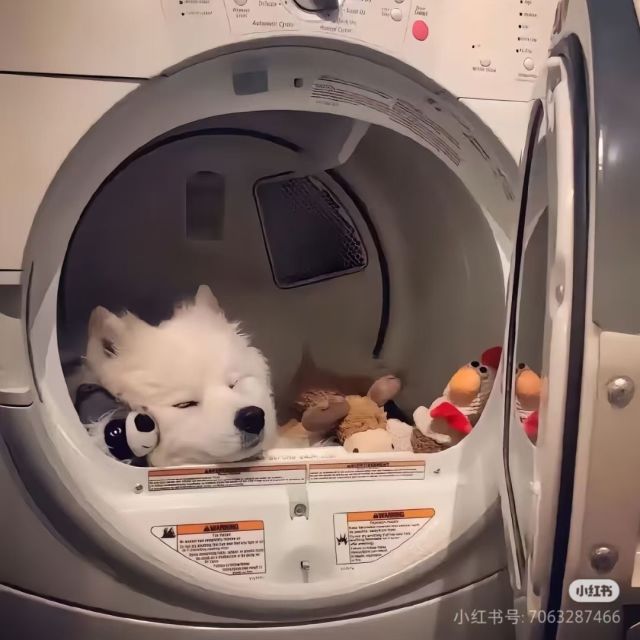 131217 关碧霞