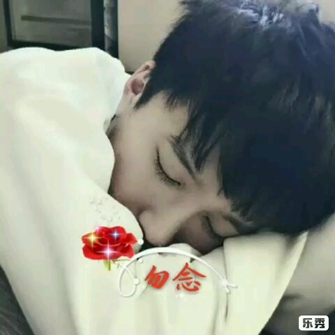 131309 抗拒水的鱼