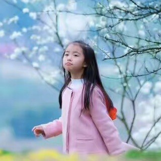 131545 莫 问