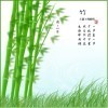 131684 L.G: